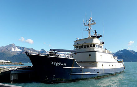 Tiglax at Seward Marine Center